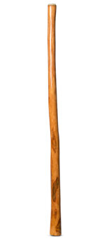 High Gloss Finish Didgeridoo (NW151)